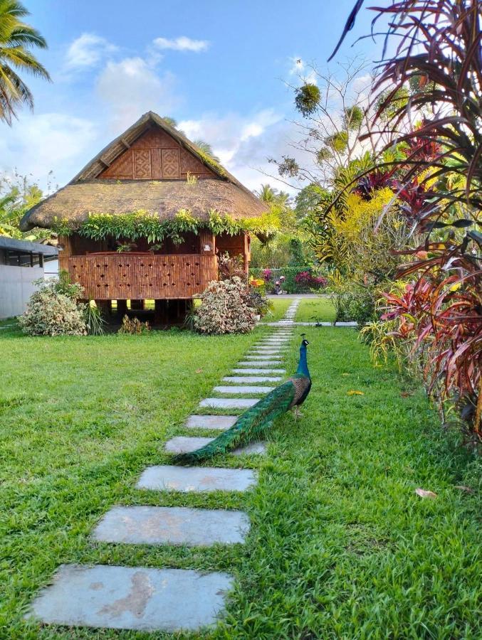 Dreamink Farm Og Myl'S Place Sorsogon Exterior foto